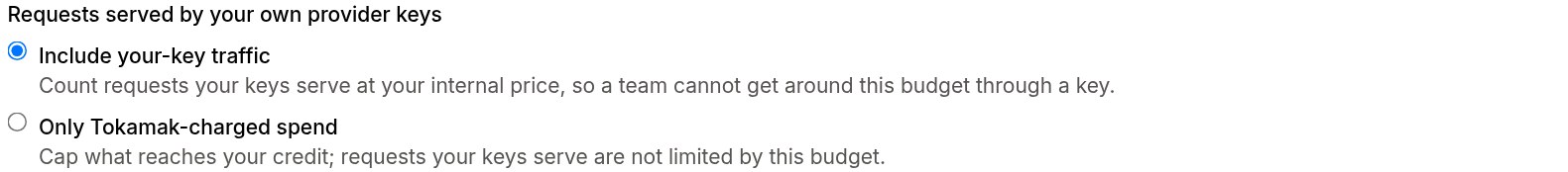 The budget form's choice for requests served by your own provider keys: include your-key traffic, selected, or only Tokamak-charged spend