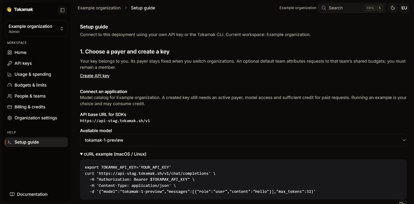 Setup guide with the organization selector at top left, API base URL for SDKs, available-model selector, and generated cURL example.
